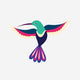 Hummingbird (#18)
