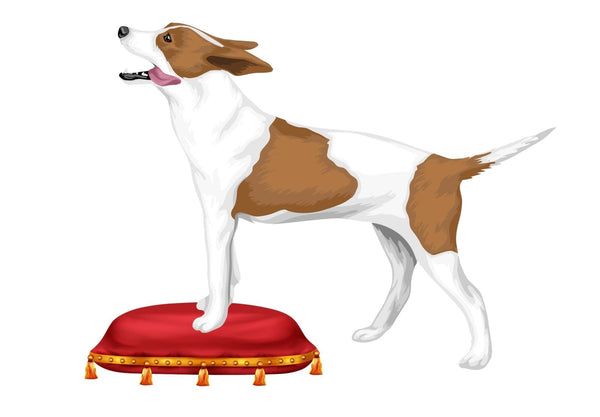 Royal Red Pillow with Gold Tassels -- Decal for our Dogs in the Wind Decals - Cover-Alls Decals