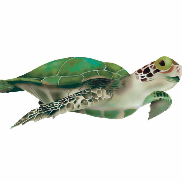 Sea Turtle - Car Floats Reusable Car Decals