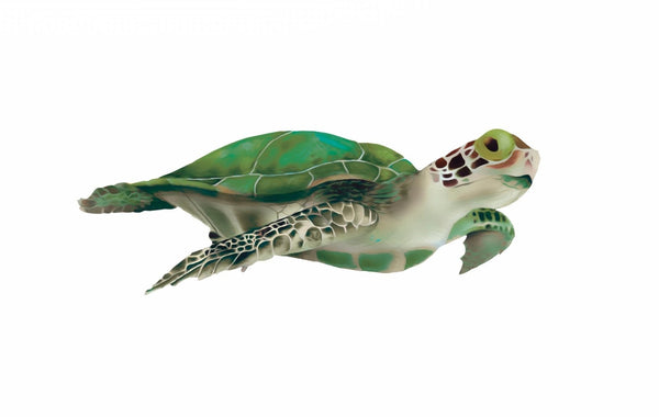 Sea Turtle Decals - Cover-Alls Decals
