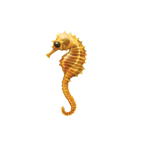 Seahorse Decals - Cover-Alls Decals