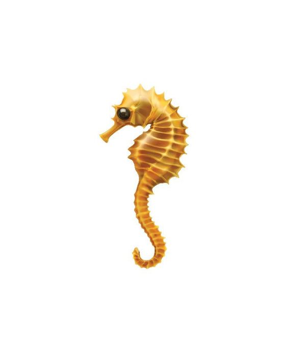 Seahorse Decals - Cover-Alls Decals