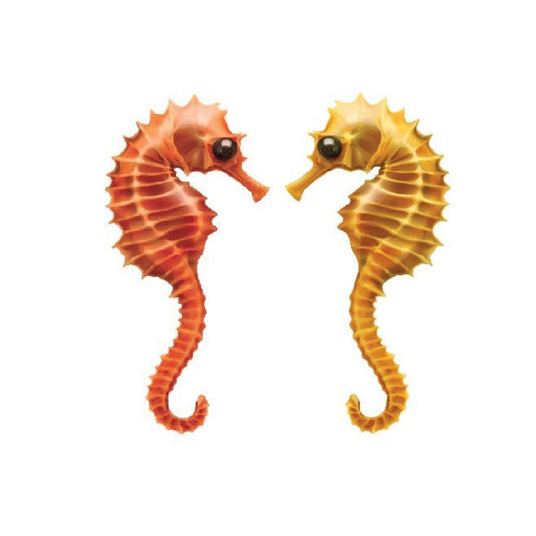 Seahorse Decals - Cover-Alls Decals