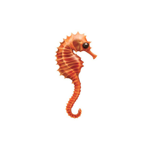 Seahorse Decals - Cover-Alls Decals