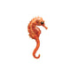 Right Seahorse