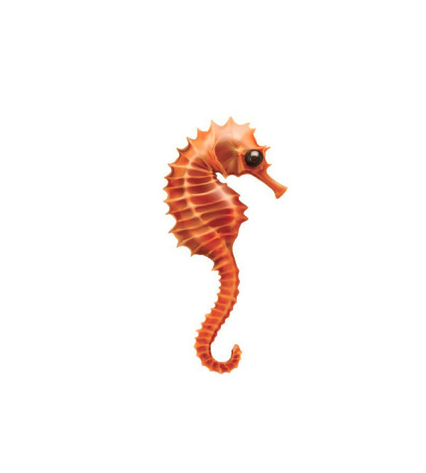Seahorse Decals - Cover-Alls Decals