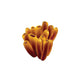 Orange tube Coral