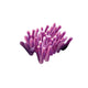 Purple Coral