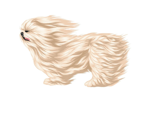 Life-Sized Shi Tzu Decal - Cover-Alls Decals