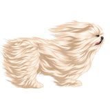 Life-Sized Shi Tzu Decal - Cover-Alls Decals