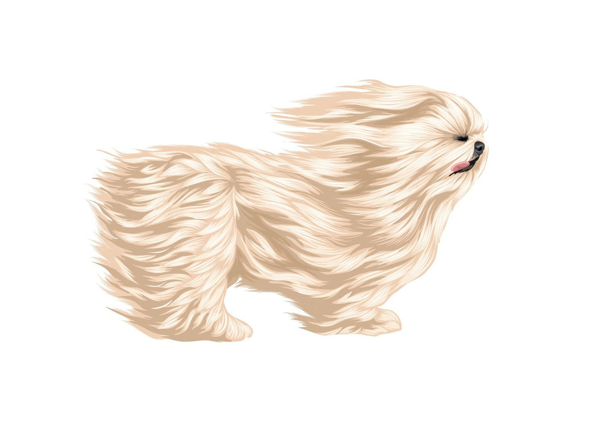 Life-Sized Shi Tzu Decal - Cover-Alls Decals