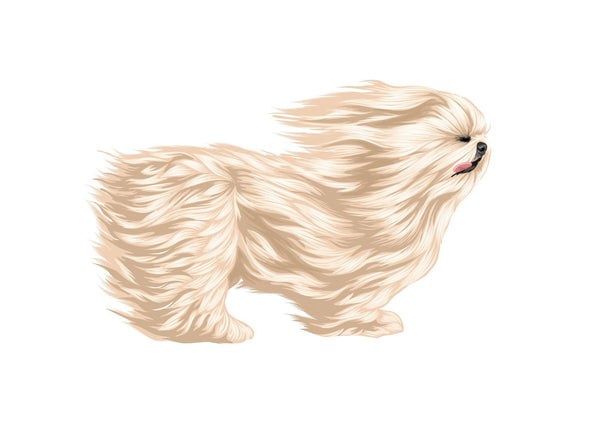 Life-Sized Shi Tzu Decal - Cover-Alls Decals