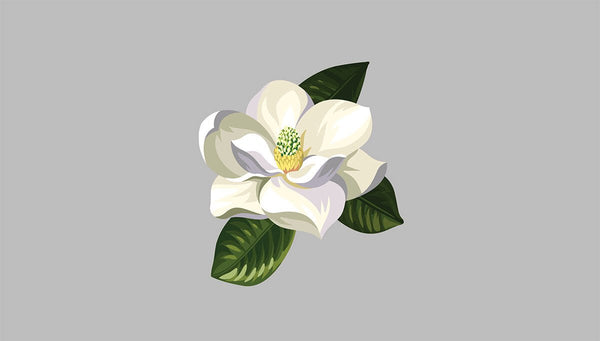 Southern Magnolia Blossom Decals - Cover-Alls Decals