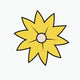 Yellow Star Flower