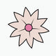 White Star Flower