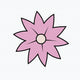 Pink Star Flower