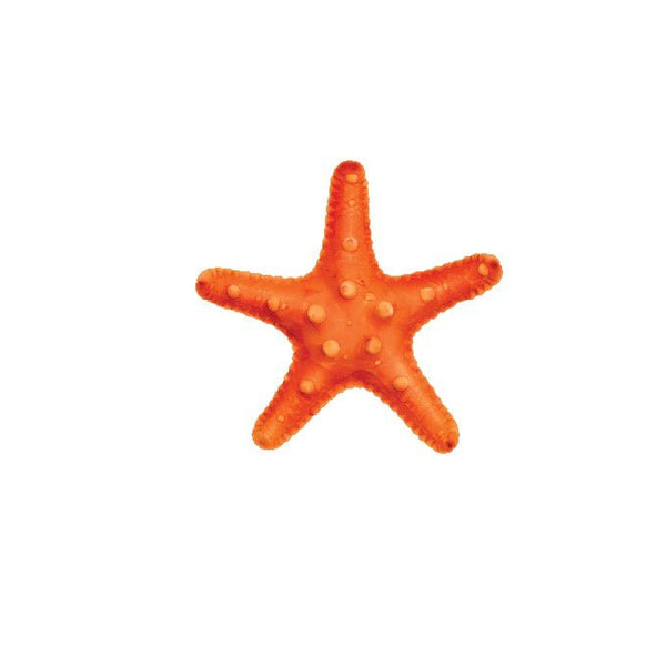 Starfish - Car Floats Reusable Car Decals