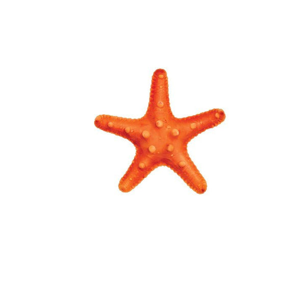 Starfish Decals - Cover-Alls Decals