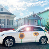 Sunflower Decals - Cover-Alls Decals