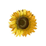 Sunflower Decals - Cover-Alls Decals