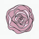 Swirl Rose — dusty pink