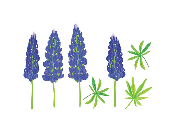 Texas Bluebonnets - Cover-Alls Decals