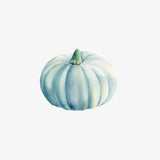 Watercolor illustration of a pale blue pumpkin with subtle shading and a green stem, adorned with Thanksgiving Cornucopia Decals, isolated on a white background by Cover-Alls.