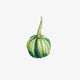 Green Striped Pumpkin