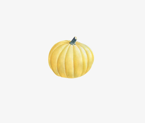 Thanksgiving Cornucopia Decals - Cover-Alls Decals