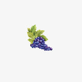 Thanksgiving Cornucopia Decals - Cover-Alls Decals