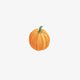 Small Orange Pumpkin