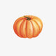 Large Orange Pumpkin