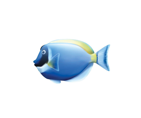 Tropical Fish Decals - Cover-Alls Decals