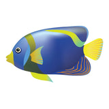 Tropical Fish Decals - Cover-Alls Decals