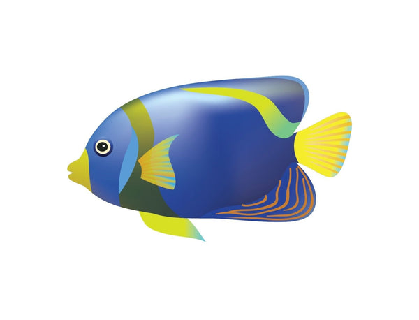Tropical Fish Decals - Cover-Alls Decals