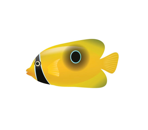 Tropical Fish Decals - Cover-Alls Decals