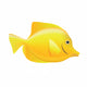 Yellow Tang