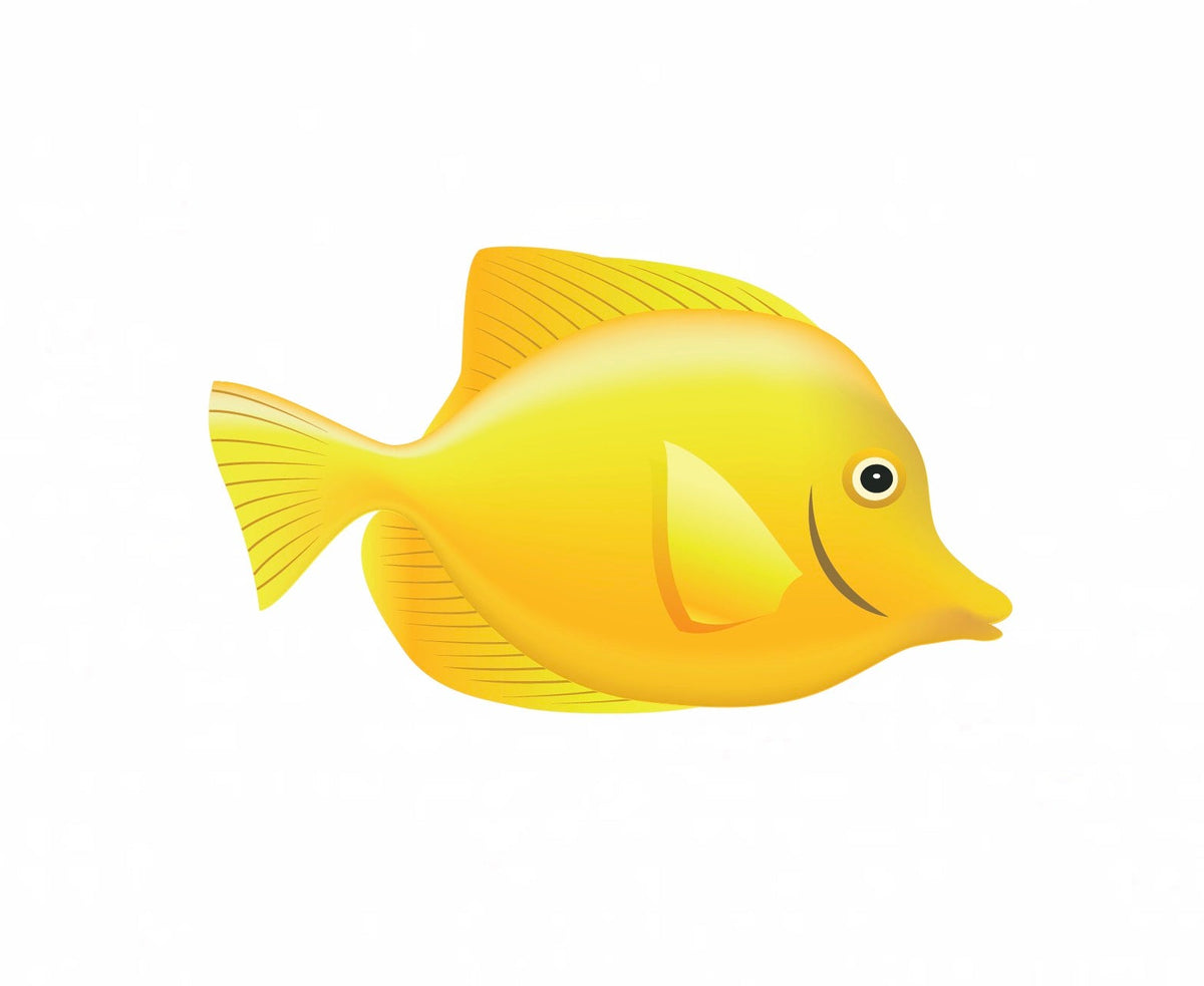 Tropical Fish Decals - Cover-Alls Decals