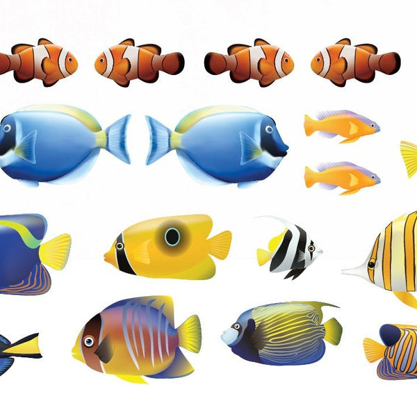 Tropical Fish - Car Floats Reusable Car Decals