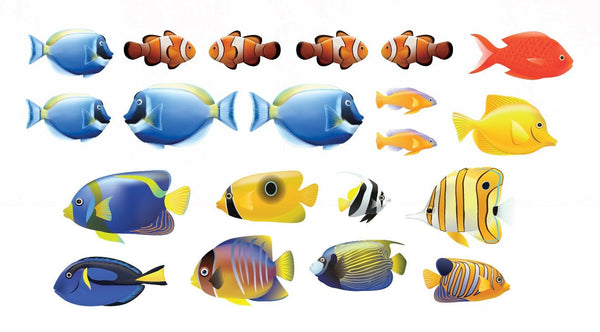 Tropical Fish Decals - Cover-Alls Decals