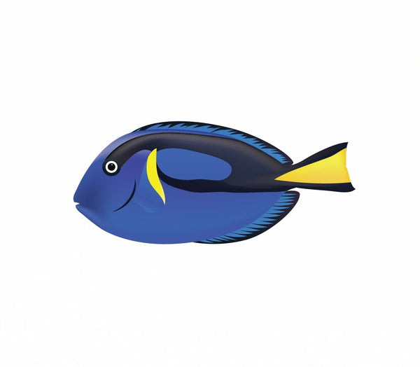 Tropical Fish Decals - Cover-Alls Decals