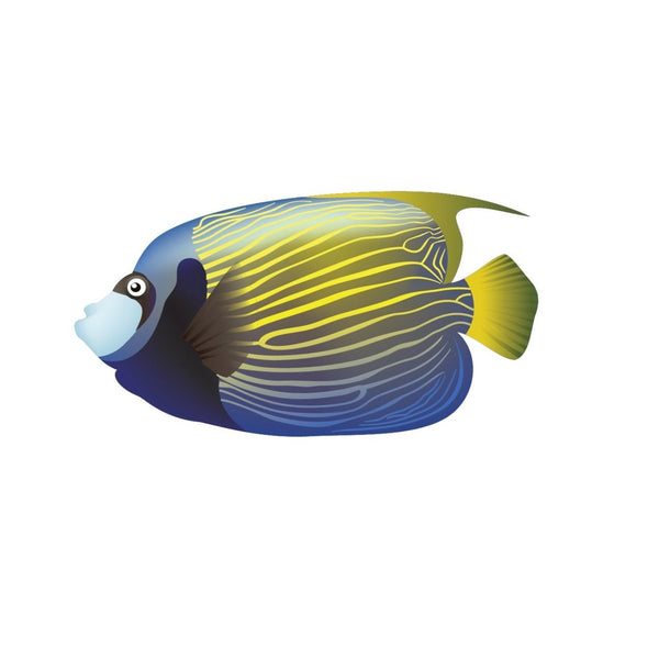 Tropical Fish Decals - Cover-Alls Decals