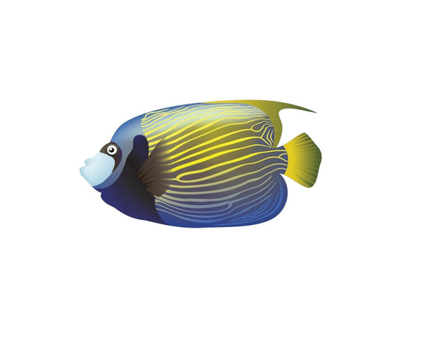 Tropical Fish Decals - Cover-Alls Decals