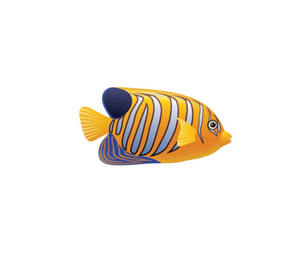 Tropical Fish Decals - Cover-Alls Decals