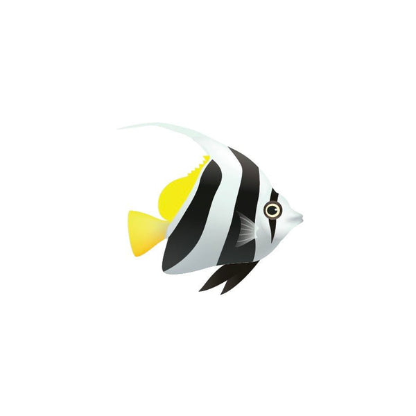 Tropical Fish Decals - Cover-Alls Decals