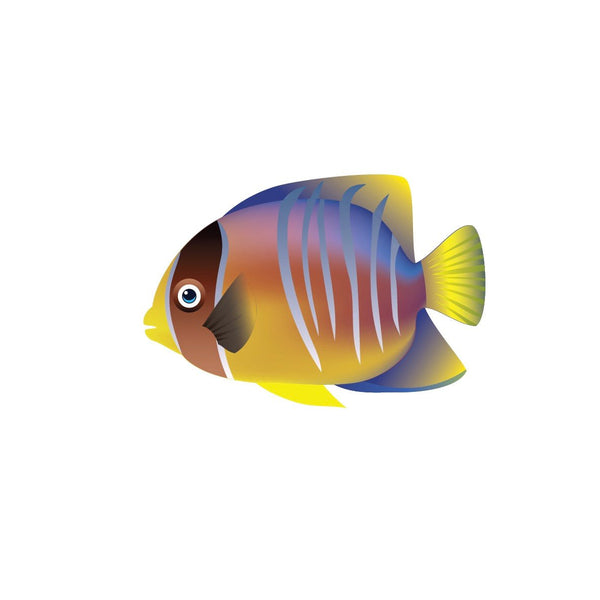 Tropical Fish Decals - Cover-Alls Decals