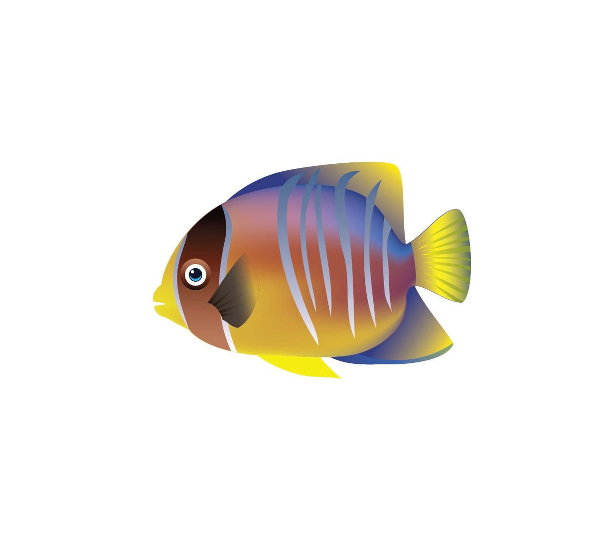 Tropical Fish Decals - Cover-Alls Decals