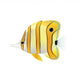 Copperband Butterfly Fish