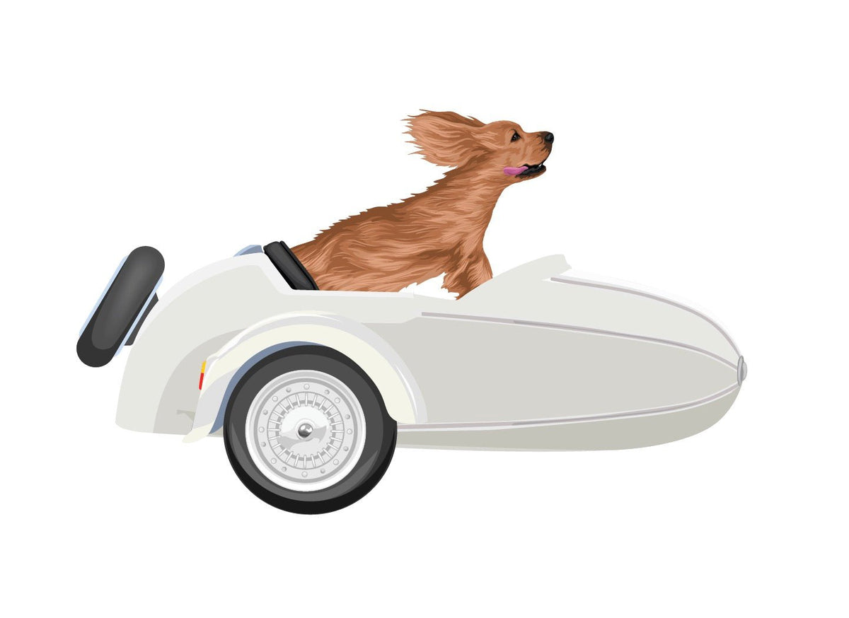 Vintage-Style Sidecars - Cover-Alls Decals