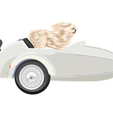 Vintage-Style Sidecars - Cover-Alls Decals